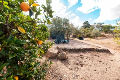 Quinta T1 para Venda em Pedrógão de São Pedro e Bemposta