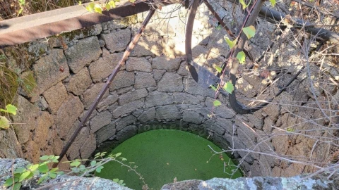 Quinta T1 para Venda em Pedrógão de São Pedro e Bemposta