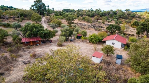 Quinta T1 para Venda em Pedrógão de São Pedro e Bemposta