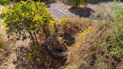 Quinta T1 para Venda em Pedrógão de São Pedro e Bemposta