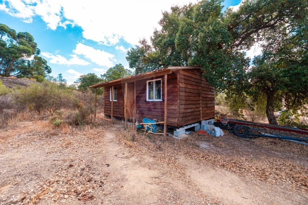Quinta T1 para Venda em Pedrógão de São Pedro e Bemposta Foto 35