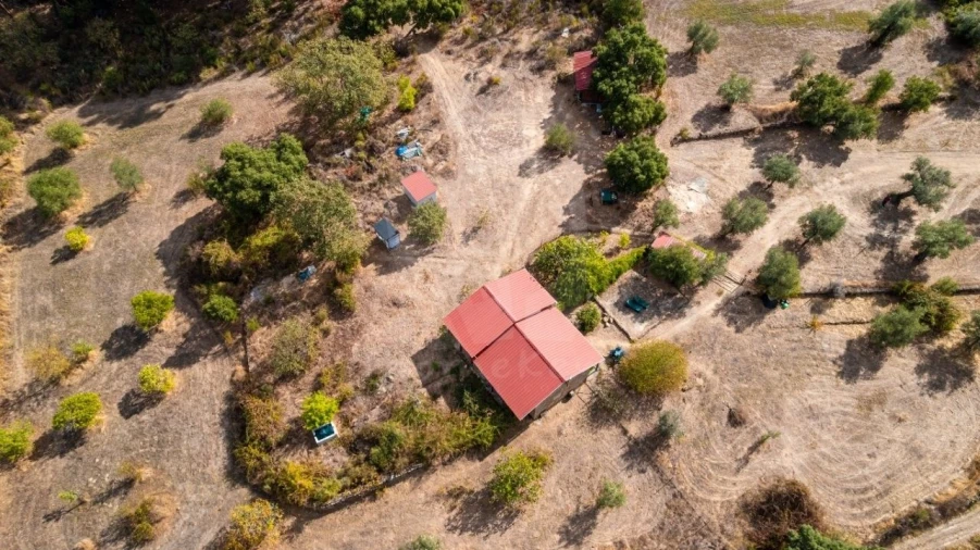 Quinta T1 para Venda em Pedrógão de São Pedro e Bemposta Foto 44