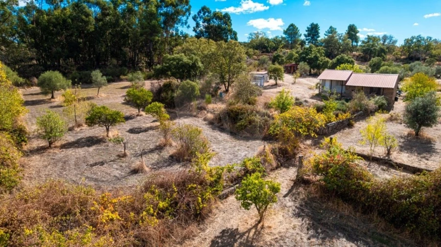 Quinta T1 para Venda em Pedrógão de São Pedro e Bemposta Foto 42