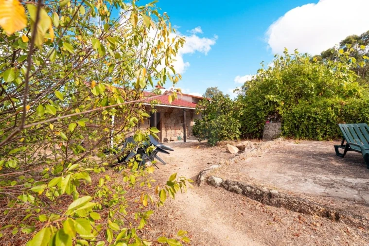 Quinta T1 para Venda em Pedrógão de São Pedro e Bemposta Foto 32