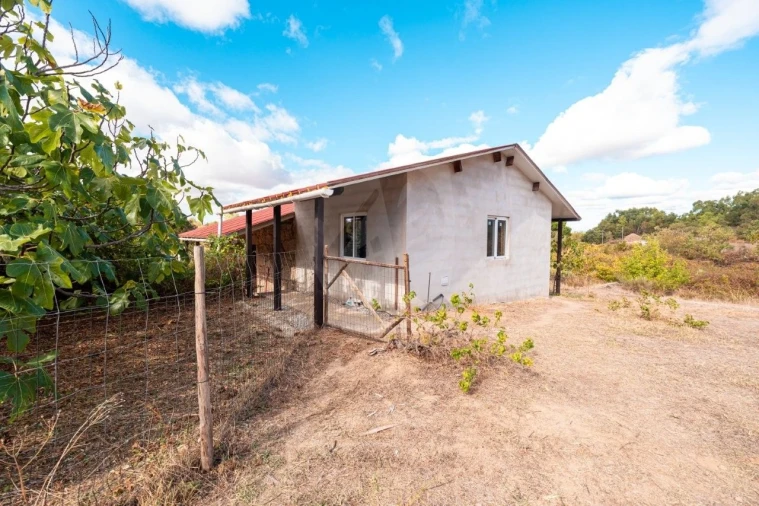 Quinta T1 para Venda em Pedrógão de São Pedro e Bemposta Foto 13