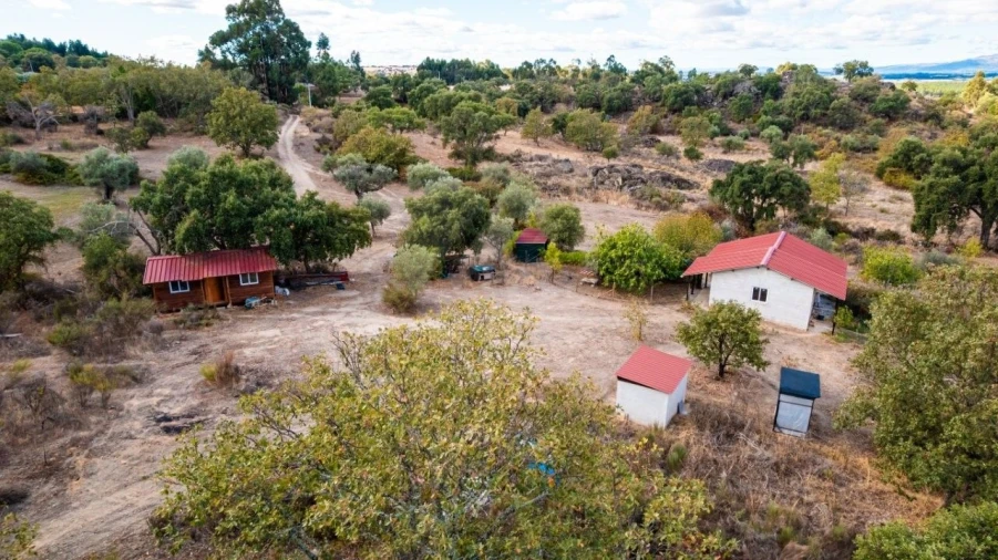 Quinta T1 para Venda em Pedrógão de São Pedro e Bemposta Foto 12