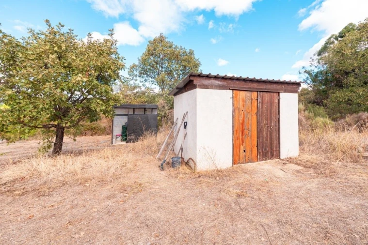 Quinta T1 para Venda em Pedrógão de São Pedro e Bemposta Foto 38