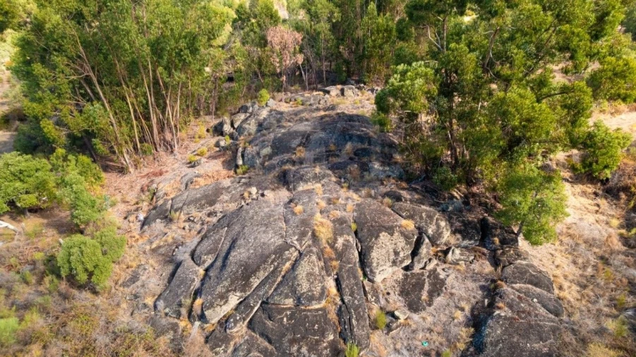Quinta T1 para Venda em Pedrógão de São Pedro e Bemposta Foto 43