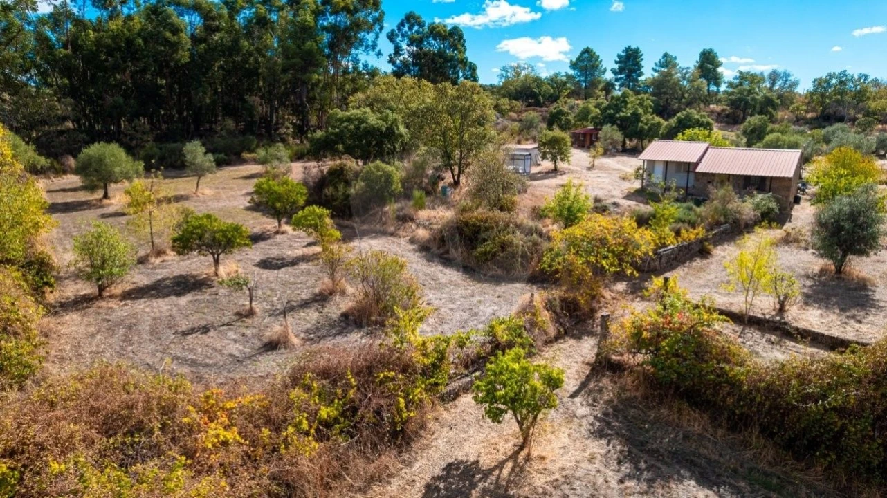 Quinta T1 para Venda em Pedrógão de São Pedro e Bemposta Foto 42