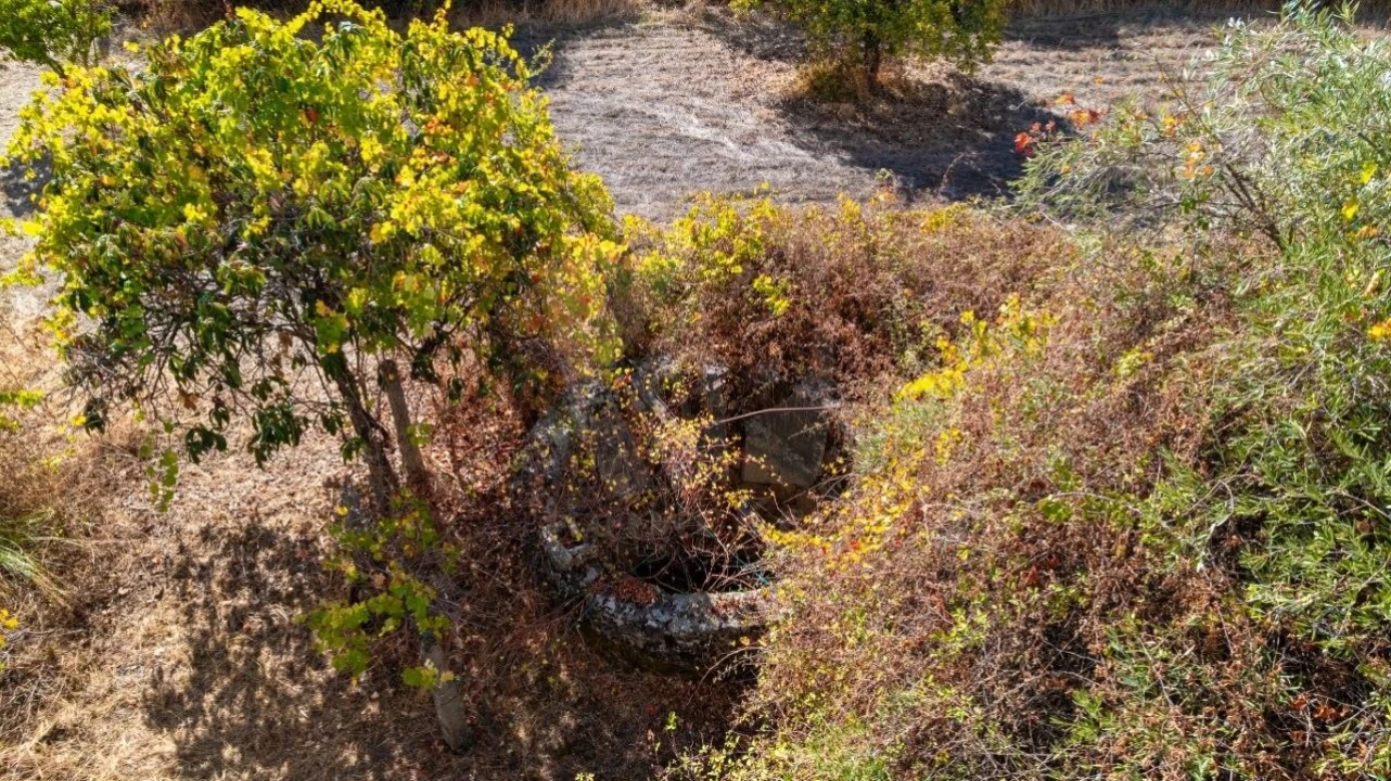 Quinta T1 para Venda em Pedrógão de São Pedro e Bemposta Foto 7