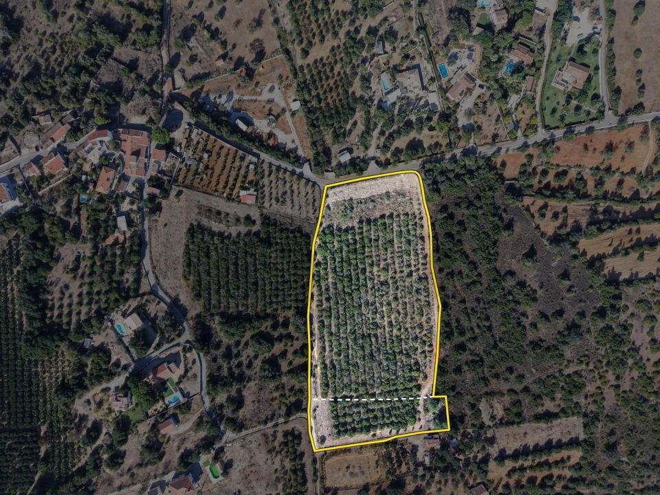 Terreno para Venda em Silves Foto 1