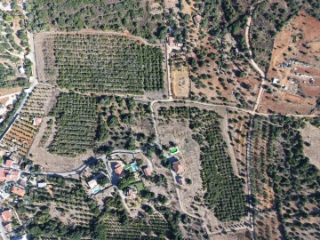 Terreno para Venda em Silves