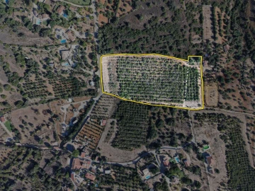 Terreno para Venda em Silves