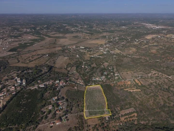 Terreno para Venda em Silves