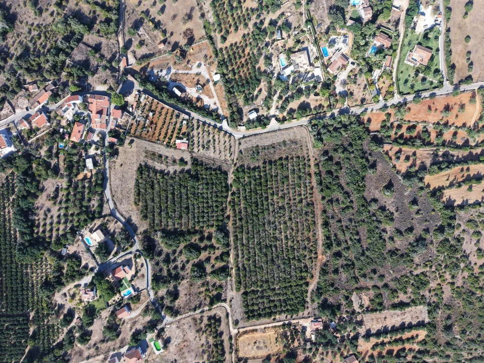 Terreno para Venda em Silves Foto 12