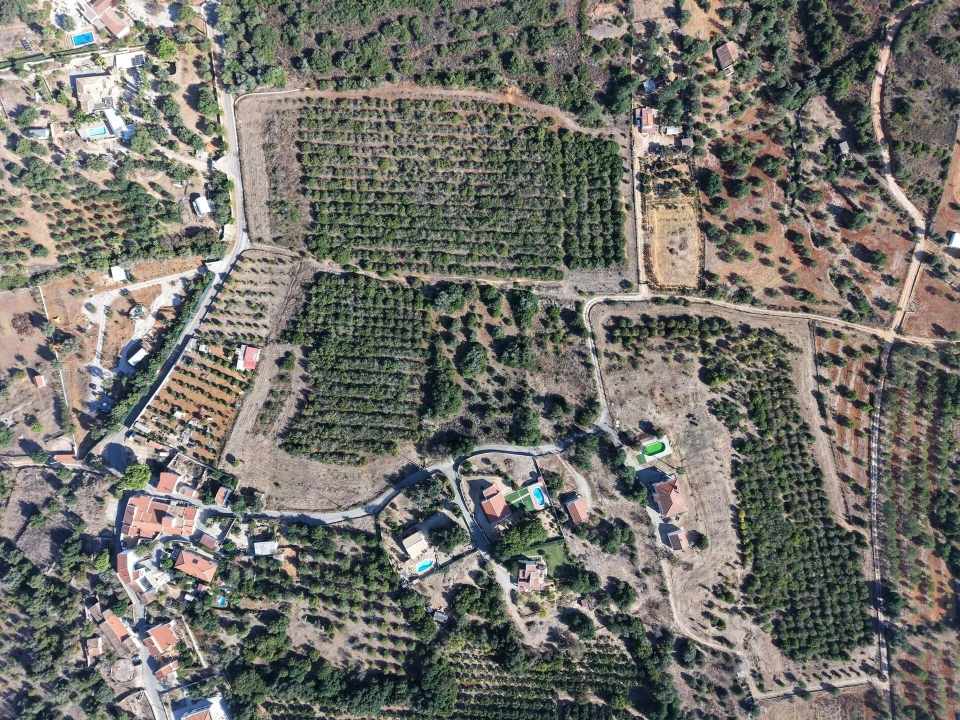 Terreno para Venda em Silves Foto 10