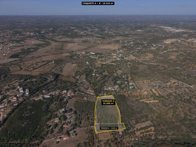 Terreno para Venda em Silves Foto 7