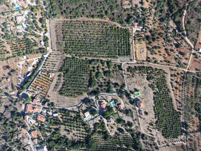 Terreno para Venda em Silves Foto 10