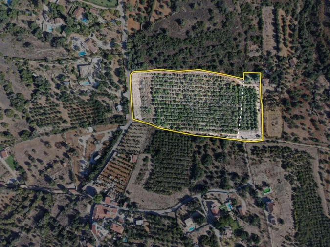 Terreno para Venda em Silves Foto 6