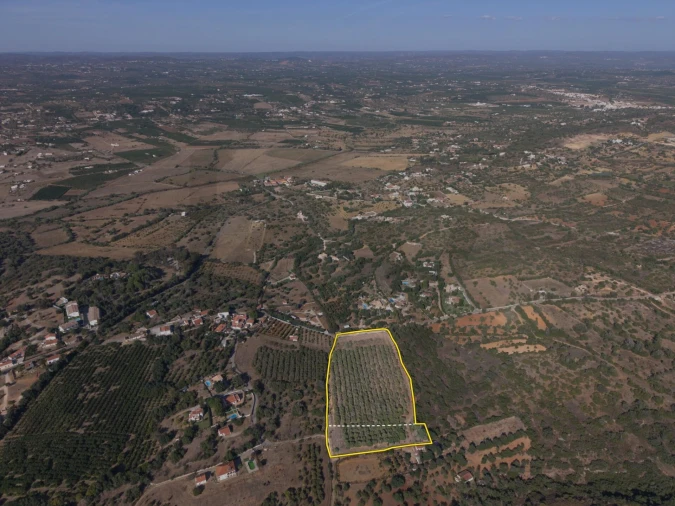 Terreno para Venda em Silves Foto 8