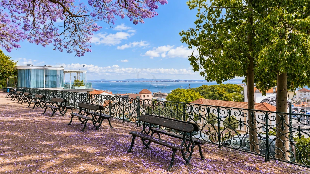 Apartamento T5 para Venda em Estrela Foto 3