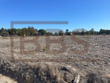 Terreno para Venda em Salvaterra de Magos e Foros de Salvaterra
