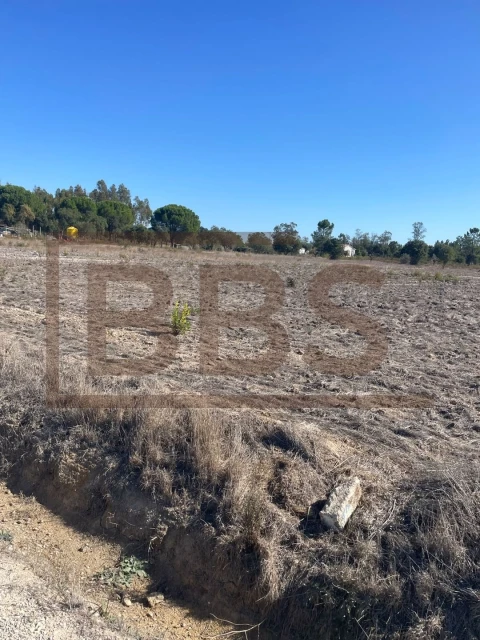 Terreno para Venda em Salvaterra de Magos e Foros de Salvaterra