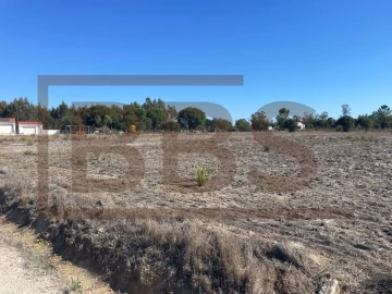 Terreno para Venda em Salvaterra de Magos e Foros de Salvaterra