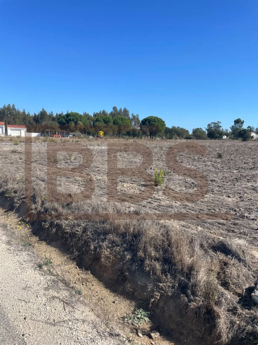 Terreno para Venda em Salvaterra de Magos e Foros de Salvaterra Foto 2