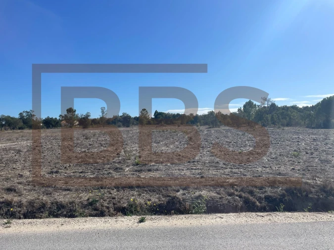Terreno para Venda em Salvaterra de Magos e Foros de Salvaterra Foto 7