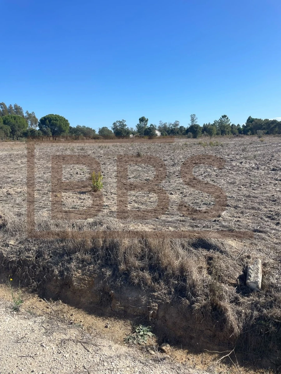 Terreno para Venda em Salvaterra de Magos e Foros de Salvaterra Foto 6