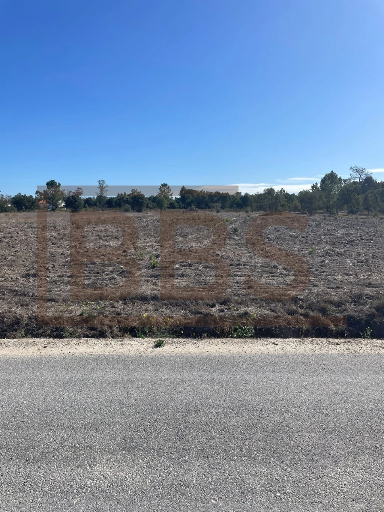 Terreno para Venda em Salvaterra de Magos e Foros de Salvaterra Foto 4