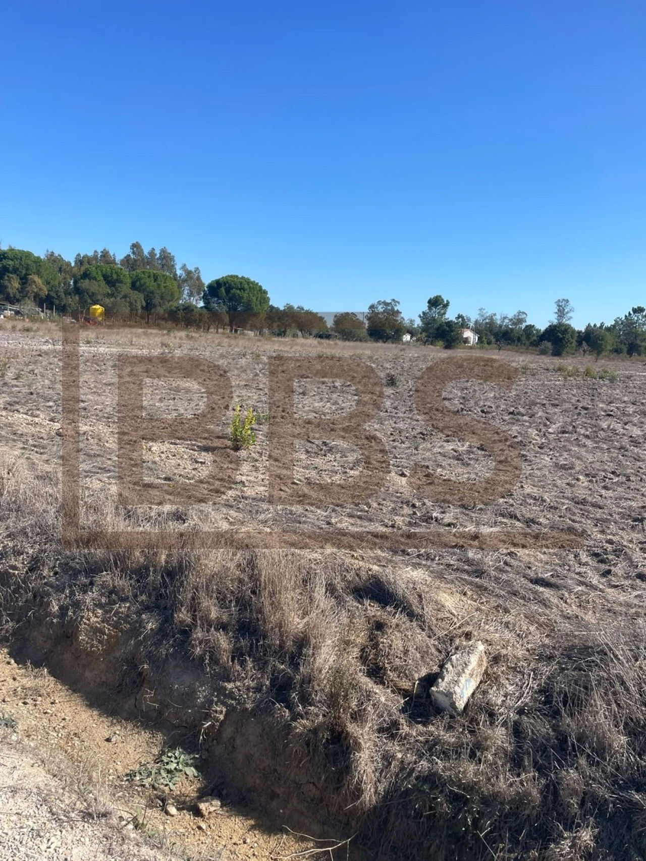 Terreno para Venda em Salvaterra de Magos e Foros de Salvaterra Foto 1