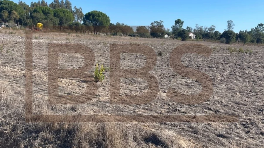 Terreno para Venda em Salvaterra de Magos e Foros de Salvaterra