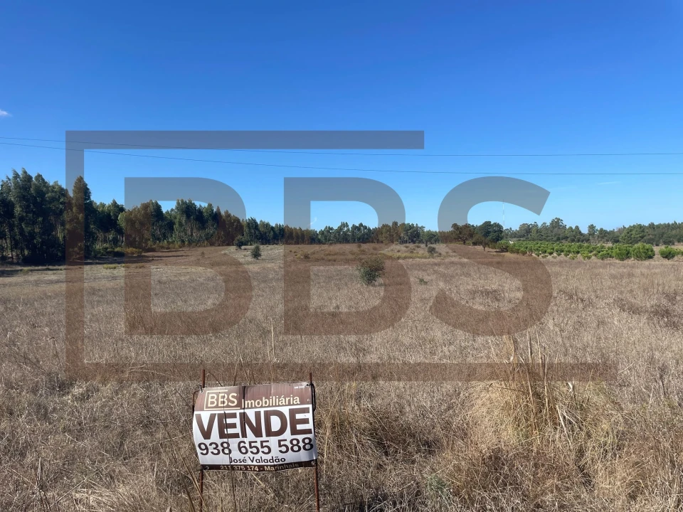 Terreno Agricola ou Rústico para Venda em Salvaterra de Magos e Foros de Salvaterra Foto 2
