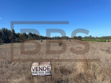 Terreno Agricola ou Rústico para Venda em Salvaterra de Magos e Foros de Salvaterra