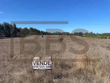 Terreno Agricola ou Rústico para Venda em Salvaterra de Magos e Foros de Salvaterra