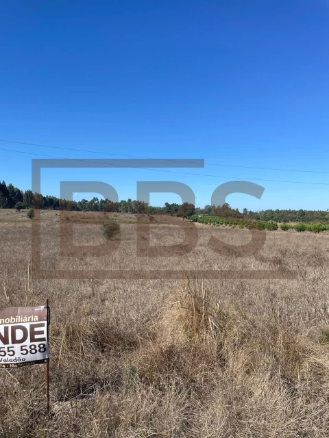 Terreno Agricola ou Rústico para Venda em Salvaterra de Magos e Foros de Salvaterra