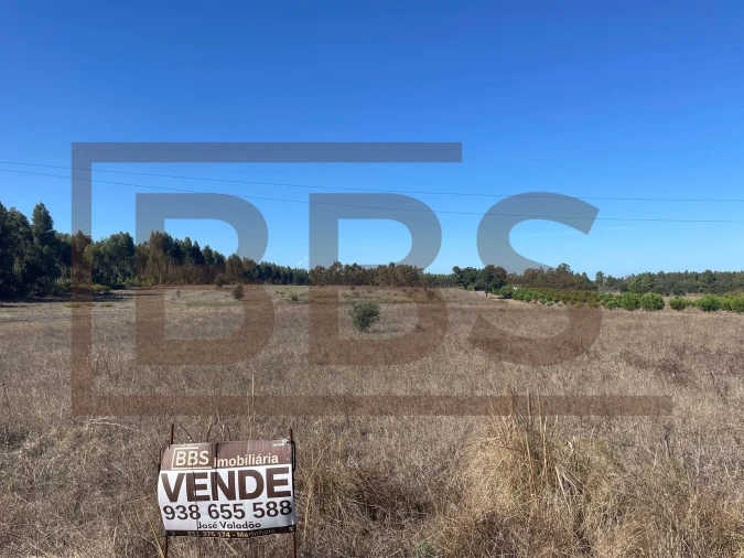 Terreno Agricola ou Rústico para Venda em Salvaterra de Magos e Foros de Salvaterra Foto 5