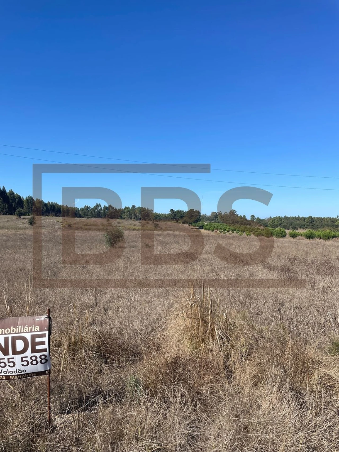 Terreno Agricola ou Rústico para Venda em Salvaterra de Magos e Foros de Salvaterra Foto 3