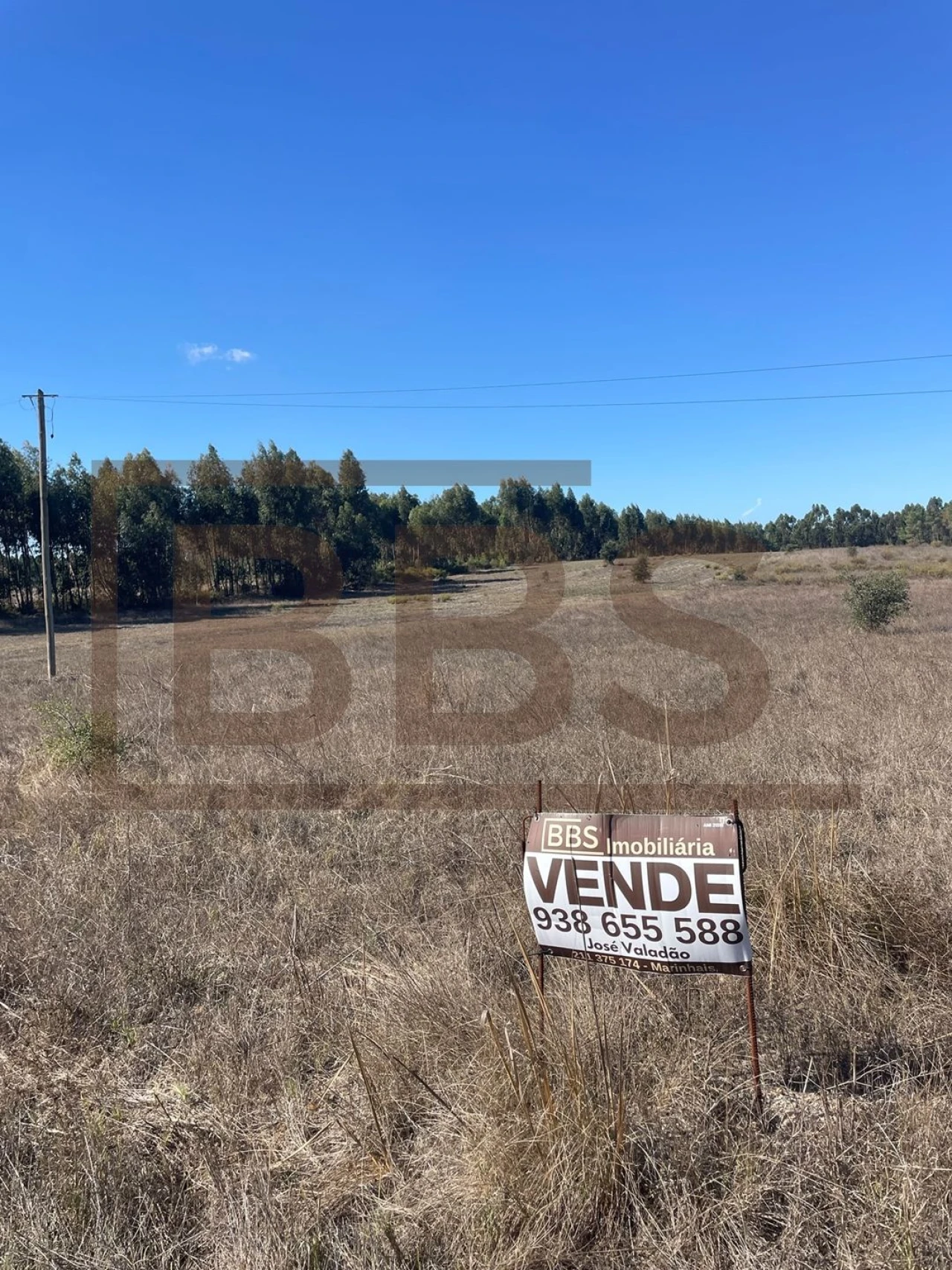 Terreno Agricola ou Rústico para Venda em Salvaterra de Magos e Foros de Salvaterra Foto 4