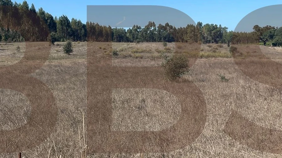 Terreno Agricola ou Rústico para Venda em Salvaterra de Magos e Foros de Salvaterra