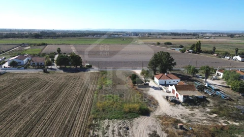 Terreno para Venda em Salvaterra de Magos e Foros de Salvaterra