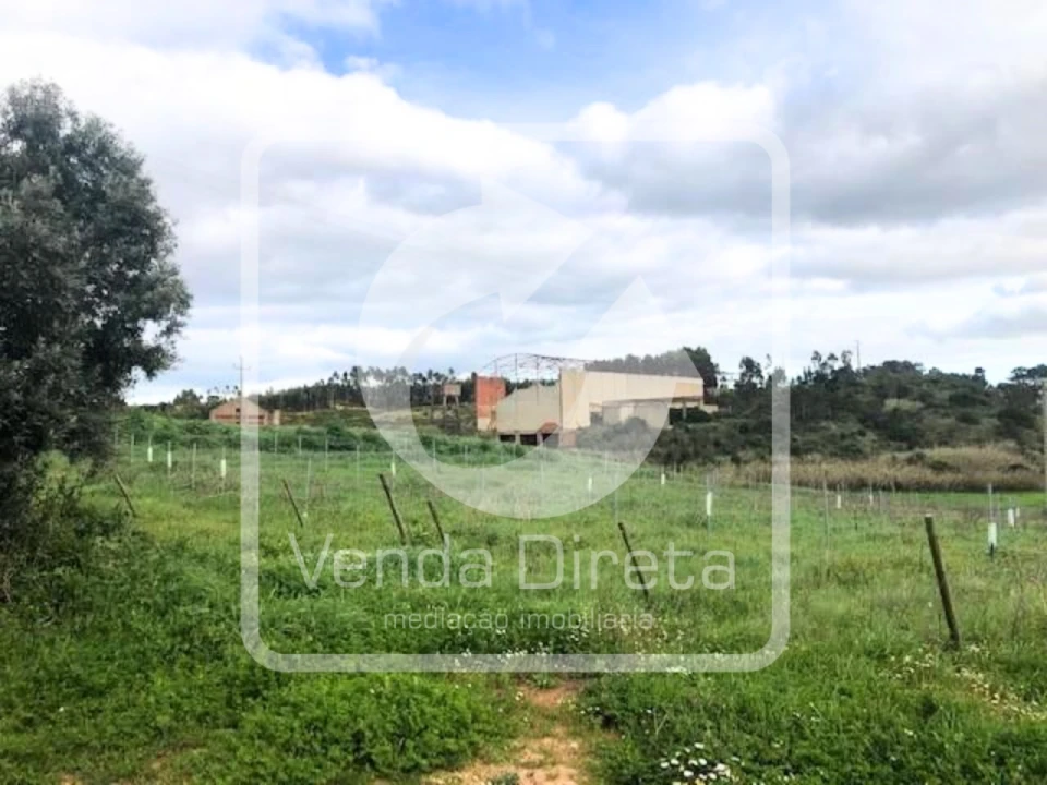 Prédio para Venda em Ventosa Foto 6