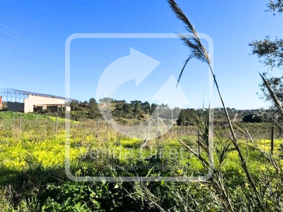 Prédio para Venda em Ventosa Foto 7