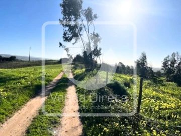 Prédio para Venda em Ventosa