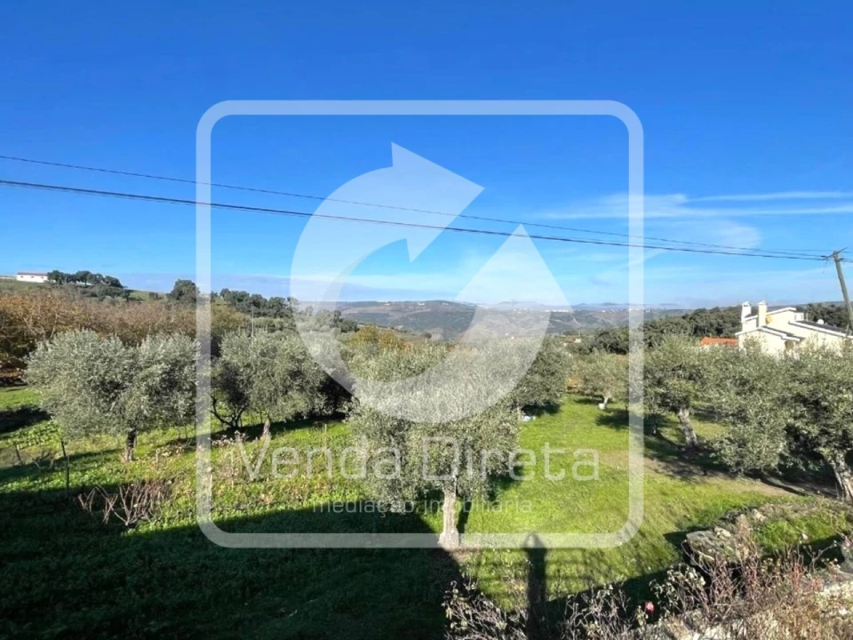 Prédio para Venda em Valongo dos Azeites Foto 18