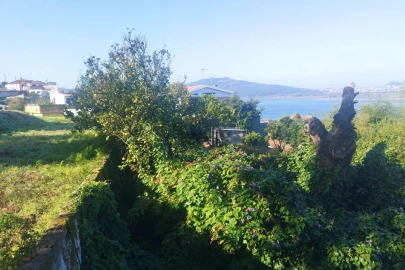 Terreno para Venda em Seixas