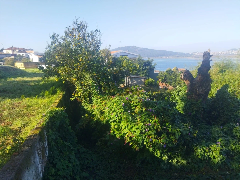 Terreno para Venda em Seixas Foto 5