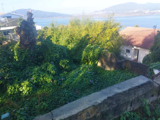 Terreno para Venda em Seixas Foto 6